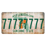Florida Orange Blossom Cut License Plate Strips (Set of 8) 7