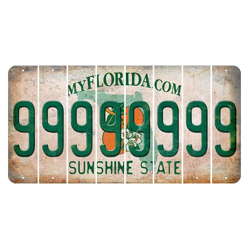 Florida Orange Blossom Cut License Plate Strips (Set of 8) 9