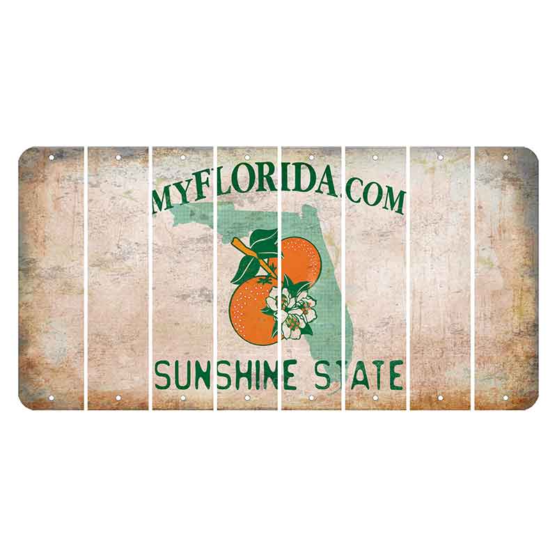 Florida Orange Blossom Cut License Plate Strips (Set of 8) Blank