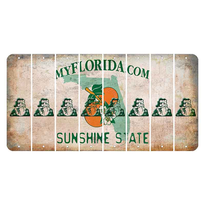 Florida Orange Blossom Cut License Plate Strips (Set of 8) Santa Claus