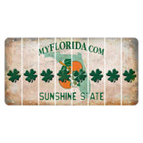 Florida Orange Blossom Cut License Plate Strips (Set of 8) Shamrock