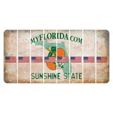 Florida Orange Blossom Cut License Plate Strips (Set of 8) American Flag