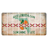 Florida Orange Blossom Cut License Plate Strips (Set of 8) State Flag