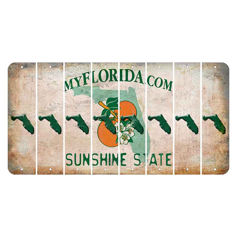 Florida Orange Blossom Cut License Plate Strips (Set of 8) State Silhouette
