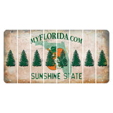 Florida Orange Blossom Cut License Plate Strips (Set of 8) Pine Tree