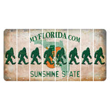 Florida Orange Blossom Cut License Plate Strips (Set of 8) Bigfoot