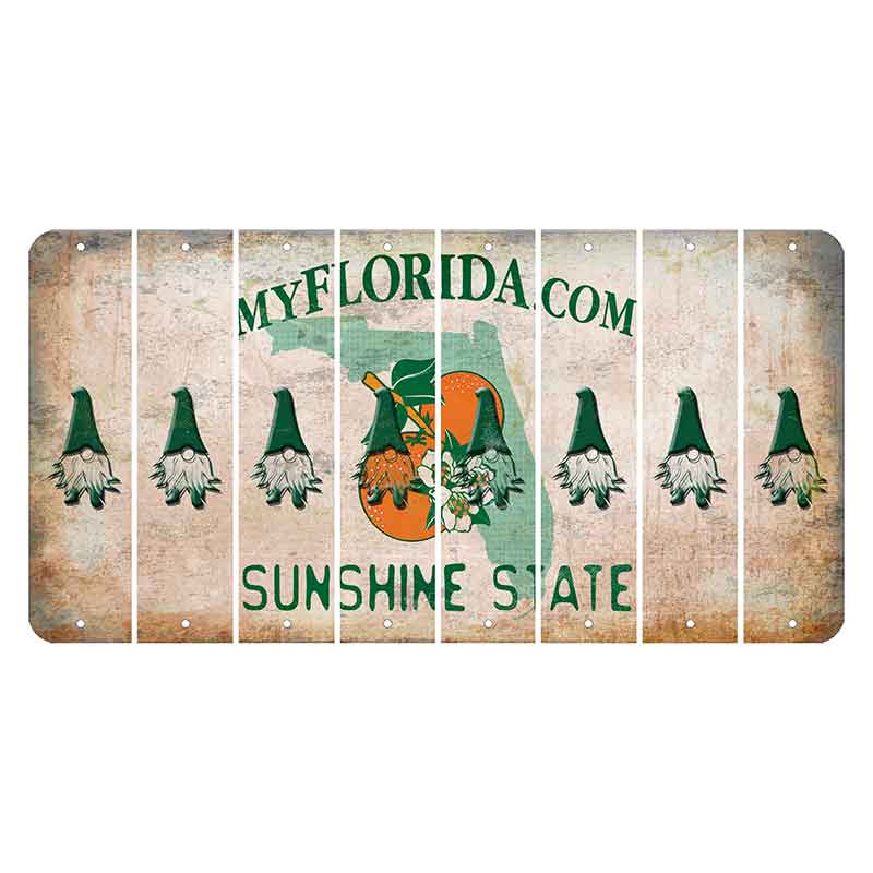 Florida Orange Blossom Cut License Plate Strips (Set of 8) Gnome