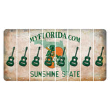 Florida Orange Blossom Cut License Plate Strips (Set of 8) Guitar
