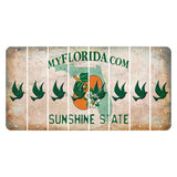 Florida Orange Blossom Cut License Plate Strips (Set of 8) Dove