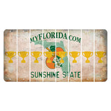 Florida Orange Blossom Cut License Plate Strips (Set of 8) Trophy