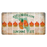 Florida Orange Blossom Cut License Plate Strips (Set of 8) Campfire