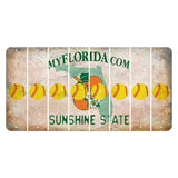 Florida Orange Blossom Cut License Plate Strips (Set of 8) Softball