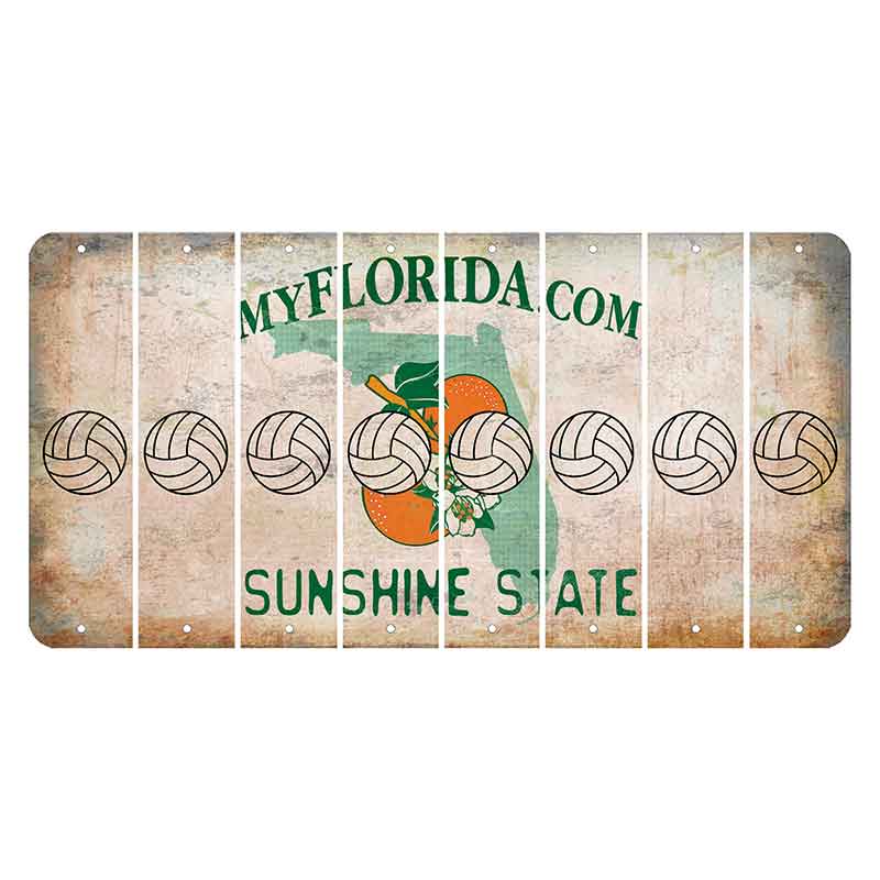 Florida Orange Blossom Cut License Plate Strips (Set of 8) Volleyball