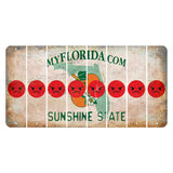 Florida Orange Blossom Cut License Plate Strips (Set of 8) Emoji - Angry