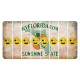 Florida Orange Blossom Cut License Plate Strips (Set of 8) Emoji - Winking