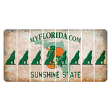 Florida Orange Blossom Cut License Plate Strips (Set of 8) Howling Wolf