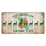 Florida Orange Blossom Cut License Plate Strips (Set of 8) Doe
