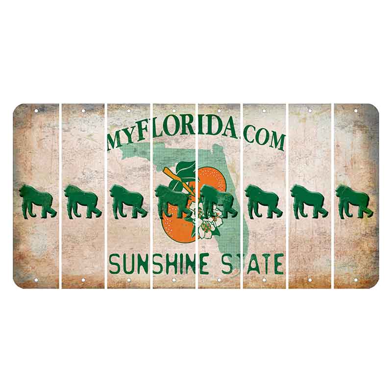 Florida Orange Blossom Cut License Plate Strips (Set of 8) Gorilla