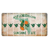 Florida Orange Blossom Cut License Plate Strips (Set of 8) Hang Loose