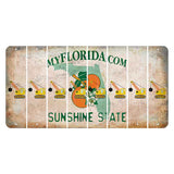 Florida Orange Blossom Cut License Plate Strips (Set of 8) Wrecking Ball Crane