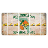 Florida Orange Blossom Cut License Plate Strips (Set of 8) Dozer