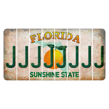 Florida Citrus Orange Cut License Plate Strips (Set of 8) J