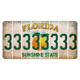 Florida Citrus Orange Cut License Plate Strips (Set of 8) 3