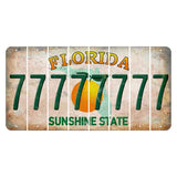Florida Citrus Orange Cut License Plate Strips (Set of 8) 7