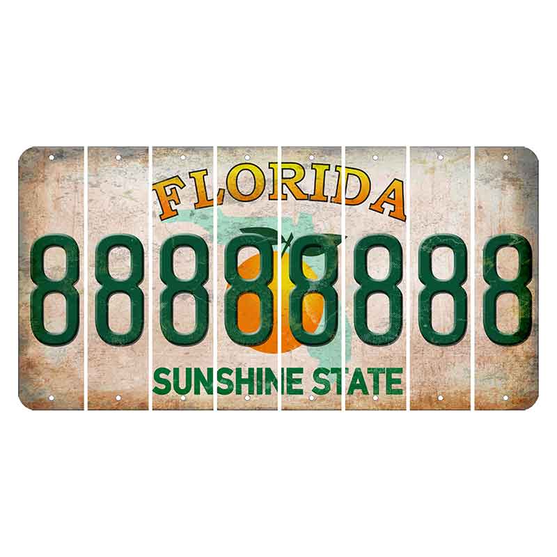 Florida Citrus Orange Cut License Plate Strips (Set of 8) 8