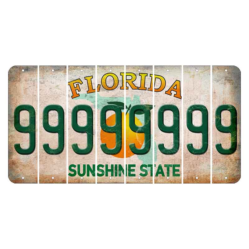 Florida Citrus Orange Cut License Plate Strips (Set of 8) 9