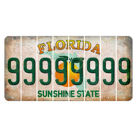 Florida Citrus Orange Cut License Plate Strips (Set of 8) 9