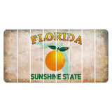Florida Citrus Orange Cut License Plate Strips (Set of 8) Blank