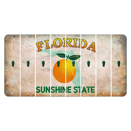Florida Citrus Orange Cut License Plate Strips (Set of 8) Apostrophe
