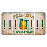Florida Citrus Orange Cut License Plate Strips (Set of 8) Exclamation Point