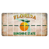 Florida Citrus Orange Cut License Plate Strips (Set of 8) Hyphen