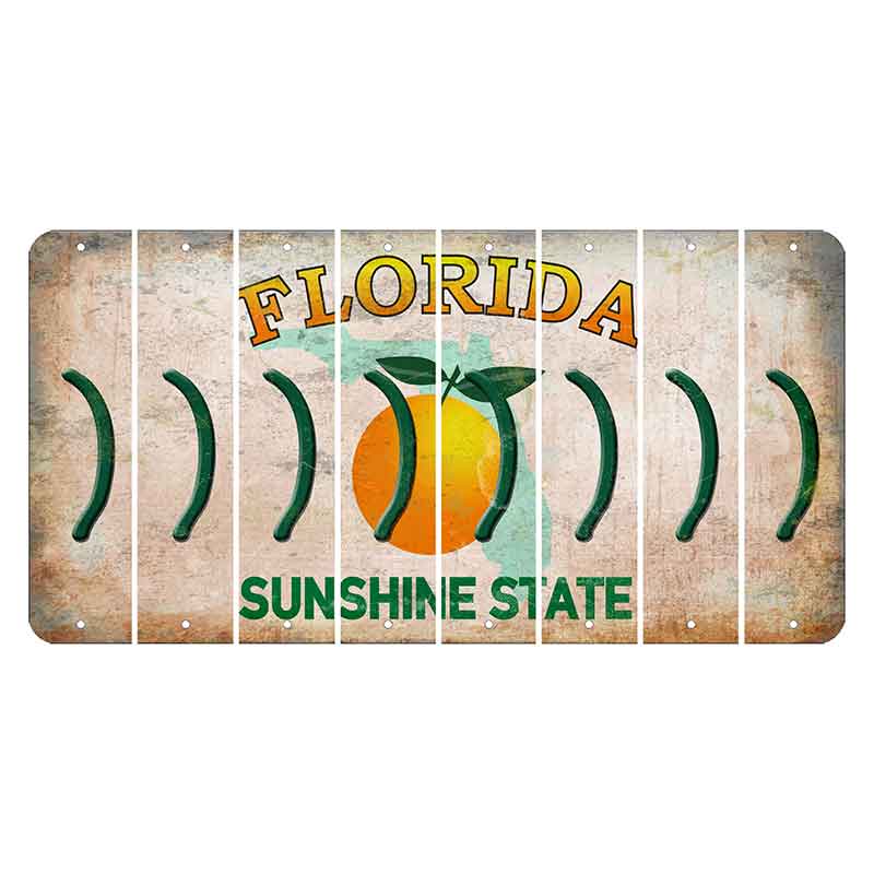 Florida Citrus Orange Cut License Plate Strips (Set of 8) Parenthesis - Right
