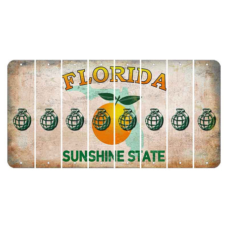 Florida Citrus Orange Cut License Plate Strips (Set of 8) Grenade