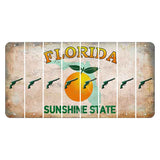 Florida Citrus Orange Cut License Plate Strips (Set of 8) Revolver