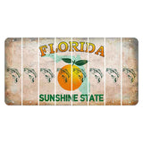 Florida Citrus Orange Cut License Plate Strips (Set of 8) Fish