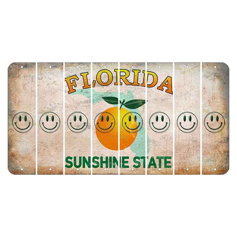 Florida Citrus Orange Cut License Plate Strips (Set of 8) Smiley Face