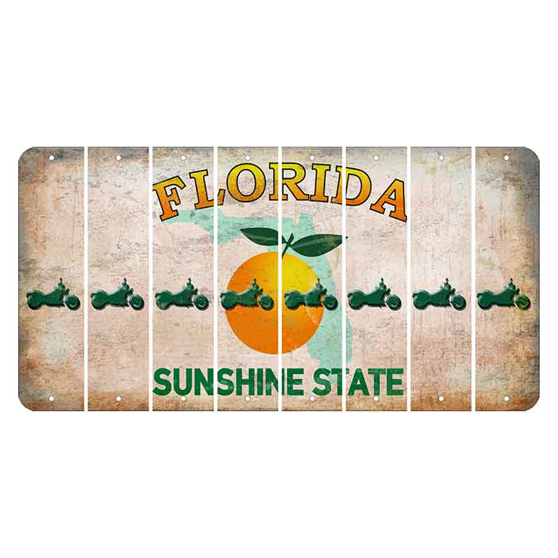 Florida Citrus Orange Cut License Plate Strips (Set of 8) Motorcycle