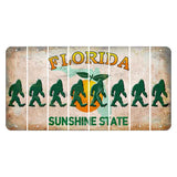 Florida Citrus Orange Cut License Plate Strips (Set of 8) Bigfoot