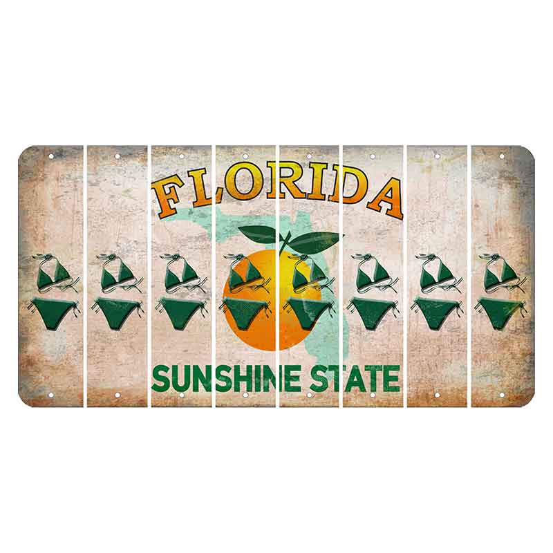 Florida Citrus Orange Cut License Plate Strips (Set of 8) Bikini