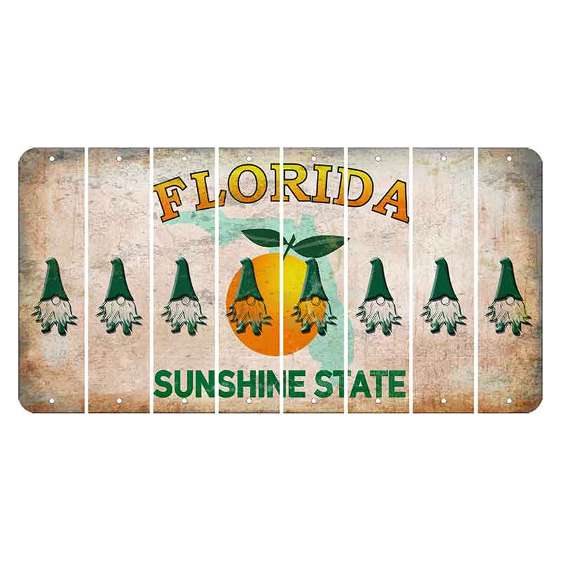 Florida Citrus Orange Cut License Plate Strips (Set of 8) Gnome