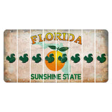 Florida Citrus Orange Cut License Plate Strips (Set of 8) Squirrel