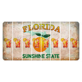 Florida Citrus Orange Cut License Plate Strips (Set of 8) Cocktail