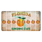 Florida Citrus Orange Cut License Plate Strips (Set of 8) Peach