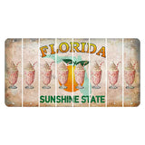 Florida Citrus Orange Cut License Plate Strips (Set of 8) Milkshake