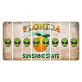 Florida Citrus Orange Cut License Plate Strips (Set of 8) Alien