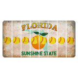 Florida Citrus Orange Cut License Plate Strips (Set of 8) Softball